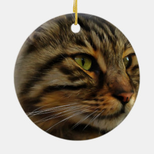 Aslan The Long Hazard Tabby Cat Keramisch Ornament