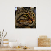 Aslan The Long Hazard Tabby Cat Poster (Keuken)