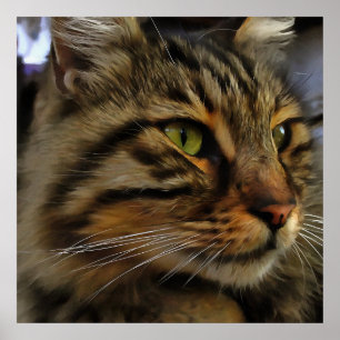 Aslan The Long Hazard Tabby Cat Poster