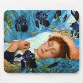 Aslapen in de Irisa Muismat (Voorkant)