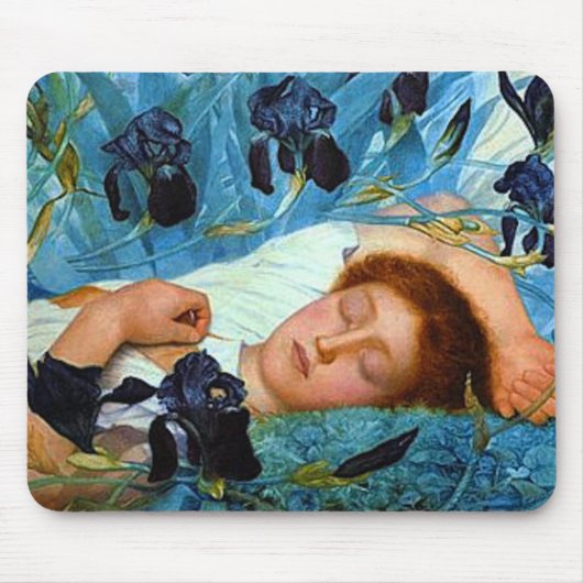 Aslapen in de Irisa Muismat (Voorkant)