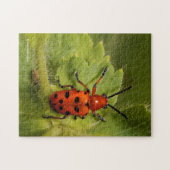 Asparagus Beetle op lef Legpuzzel (Horizontaal)