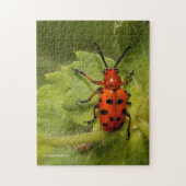 Asparagus Beetle op lef Legpuzzel (Verticaal)