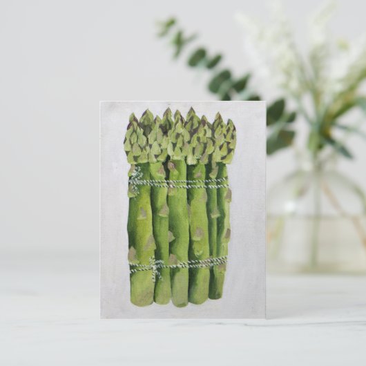 Asparagus Briefkaart (Staand voorkant)