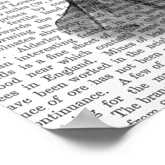 Asparagus Fern Head Plant Poster (Hoek)