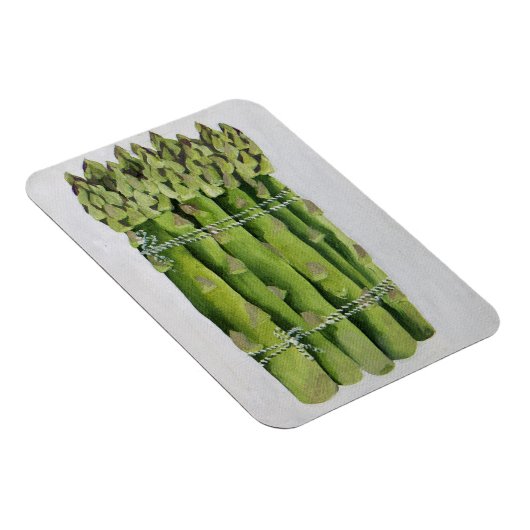 Asparagus Magneet (Rechterzijde)