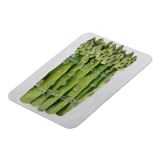 Asparagus Magneet (Linkerzijde)