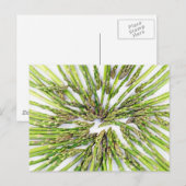 Asparagus naar het centrum briefkaart (Voorkant / Achterkant)