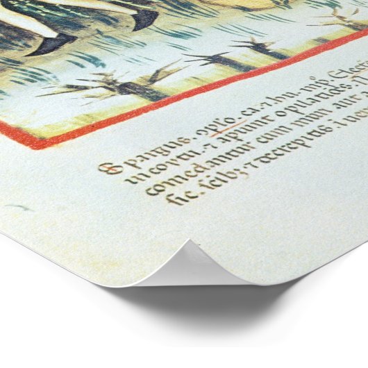 Asparagus Pickers, 13de eeuw Poster (Hoek)