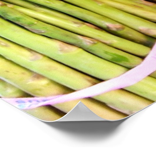 Asparagus Poster (Hoek)