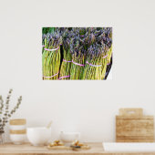 Asparagus Poster (Keuken)