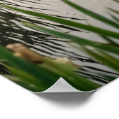 Asparagus Reiger Kanaal Poster (Hoek)