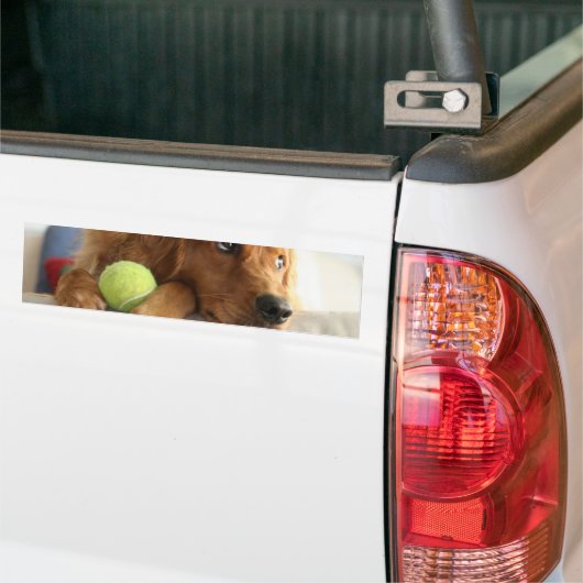 ASPCA-Dog Bumpersticker (Op Truck)