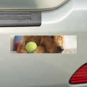 ASPCA-Hond Bumpersticker (Op auto)