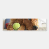 ASPCA-Hond Bumpersticker (Voorkant)