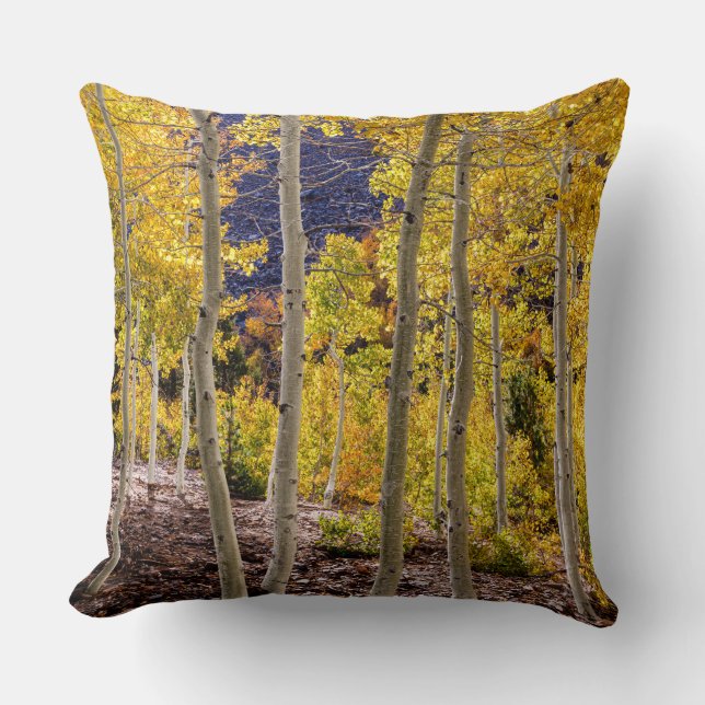 Aspen Autumn Kussen (Voorkant)