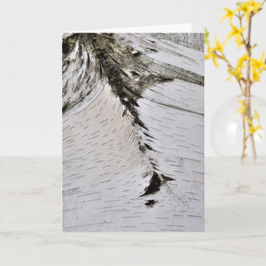 Aspen Bark Sluiten Kaart (Gele Bloem)