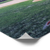 Aspen Baseball Poster (Hoek)