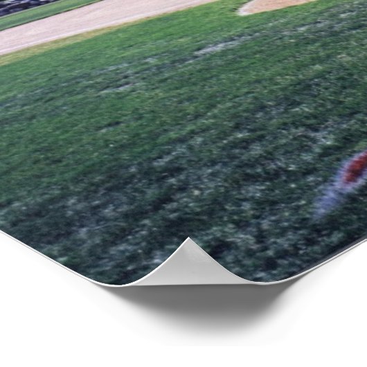 Aspen Baseball Poster (Hoek)