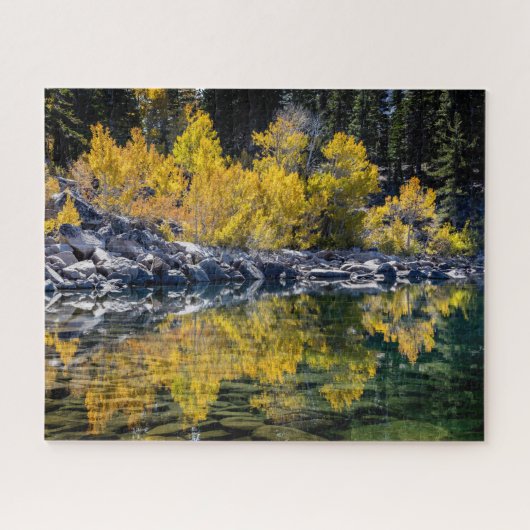 Aspen Beauty bij Sherwin Lake, CA Legpuzzel (Horizontaal)