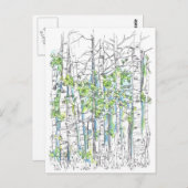 Aspen Birch Trees Pen en inkttekening Briefkaart (Voorkant / Achterkant)