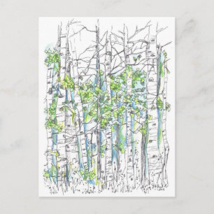 Aspen Birch Trees Pen en inkttekening Briefkaart