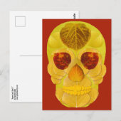 Aspen blad schedel 1 briefkaart (Voorkant / Achterkant)