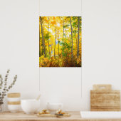 Aspen-bomen in de Herfst | Sierra Nevada bergen, C Poster (Keuken)