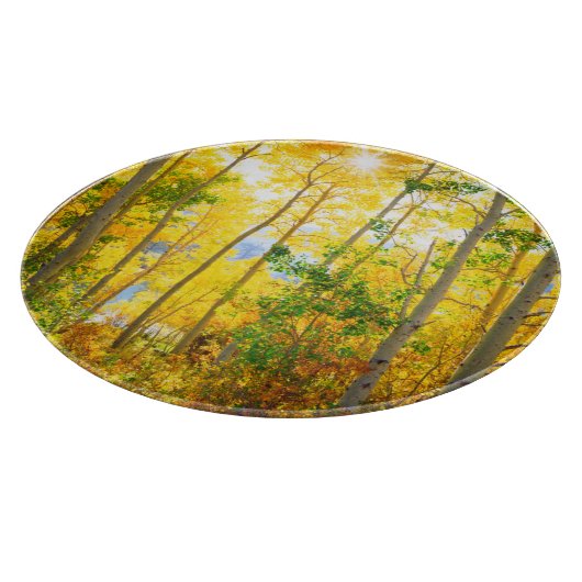 Aspen-bomen in de Herfst | Sierra Nevada bergen, C Snijplank (Hoek)