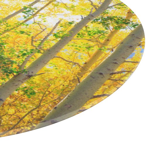 Aspen-bomen in de Herfst | Sierra Nevada bergen, C Snijplank (Hoek)