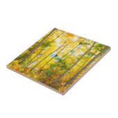 Aspen-bomen in de Herfst | Sierra Nevada bergen, C Tegeltje (Zijkant)