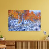 Aspen bomen in de valkleuren, Bighorn Mountains, Canvas Afdruk (Insitu (Woonkamer))