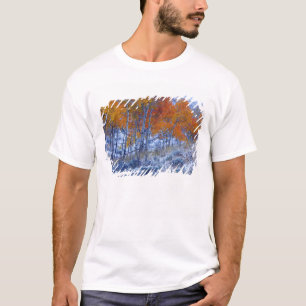 Aspen bomen in de valkleuren, Bighorn Mountains, T-shirt