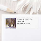 Aspen Bomen in een Winterbos Etiket (Insitu)