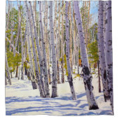 Aspen-bomen in het wolkengordijn van het bos douchegordijn (Voorkant)