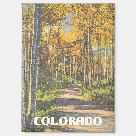 Aspen bomen langs het  pad magneet (Voorkant)