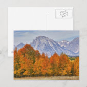 Aspen bomen met de bergketen Teton Briefkaart (Voorkant / Achterkant)