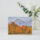 Aspen bomen met de bergketen Teton Briefkaart (Staand voorkant)