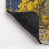 Aspen bomen met de Teton-bergketen Muismat (Hoek)