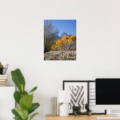 Aspen bomen met de Teton-bergketen Poster (Thuiskantoor)