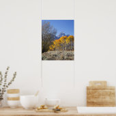 Aspen bomen met de Teton-bergketen Poster (Keuken)