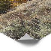 Aspen bomen met de Teton-bergketen Poster (Hoek)