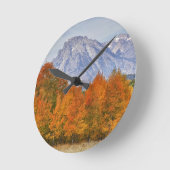 Aspen bomen met de Teton-bergketen Ronde Klok (Hoek)