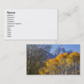 Aspen bomen met de Teton-bergketen Visitekaartje (Voorkant / Achterkant)
