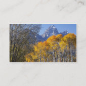 Aspen bomen met de Teton-bergketen Visitekaartje (Achterkant)
