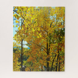 Aspen bomen vallen bladeren legpuzzel