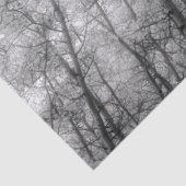 Aspen-bomen - zwart en wit tissuepapier (Detail)