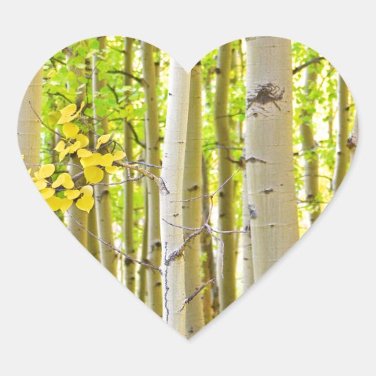 Aspen boom bos herfst tijd portret hart sticker (Voorkant)