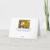 Aspen-boom met gele Herfst en zonneburst Kaart (Achterkant)