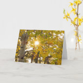 Aspen-boom met gele Herfst en zonneburst Kaart (Gele Bloem)